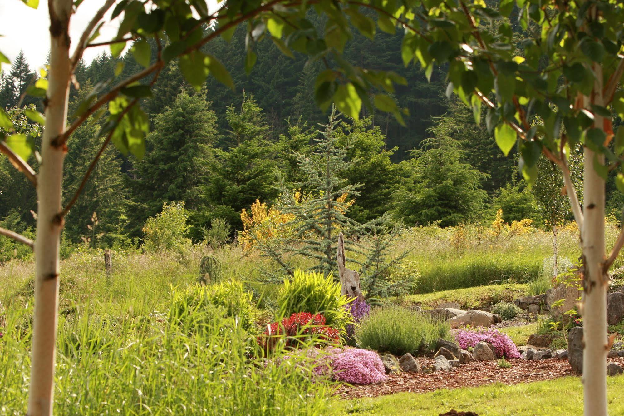 Carson Ridge Luxury Cabins מראה חיצוני תמונה