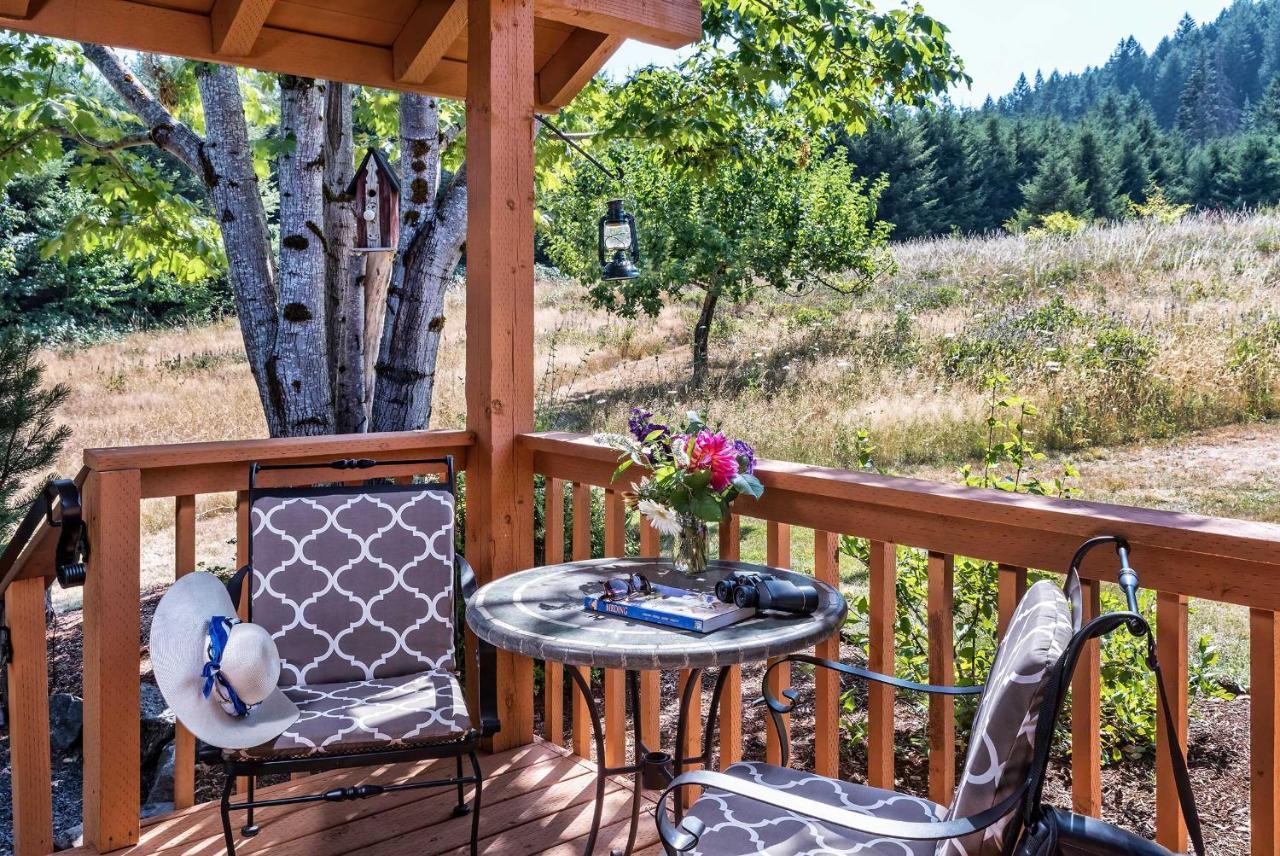 Carson Ridge Luxury Cabins מראה חיצוני תמונה